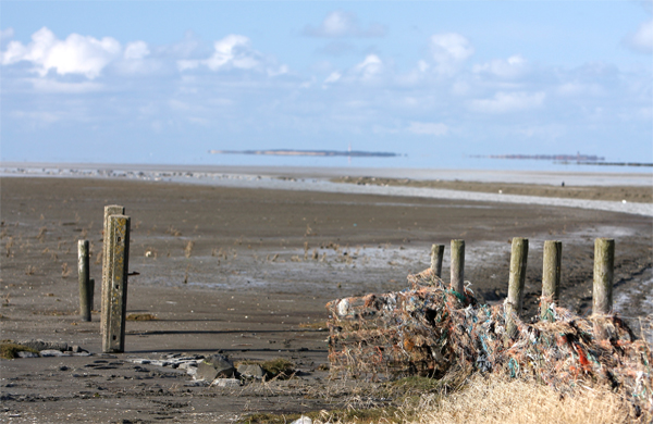 Wad ’n eiland